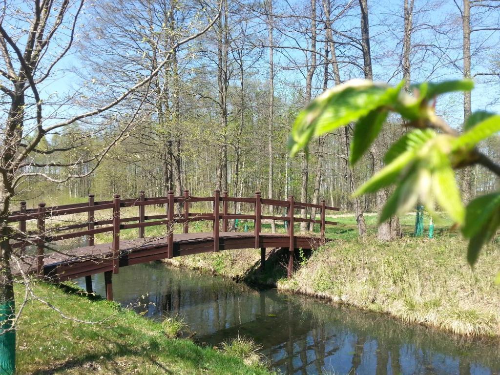 Gosciniec Kipnick Szczytno (Warmian-Masurian) Exterior foto